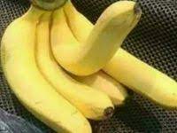 Maybe you would like to learn more about one of these? 8 Ide Pisang Gambar Lucu Semuanya Lucu Cartoon Jokes