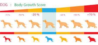 Your puppy might be underweight if you can clearly see his ribs. Puppy Weight Calculator Monkoodog