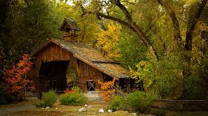 We did not find results for: Cabin In The Woods Wallpapers Top Free Cabin In The Woods Backgrounds Wallpaperaccess