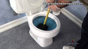 If a bolt is loose, tighten it slowly just until it is snug. How To Fix A Toilet Diagnostics Blocked Toilet Youtube