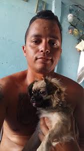 🎉Pekinés En Cuba🎊🎈🐶