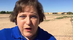 Bad neighbor': Phoenix struggles to manage its vacant city-owned lots