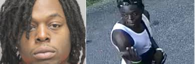 Remains of man wanted for 2022 DC murder of Baltimore man found in Fort  Chaplin Park