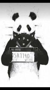 Check spelling or type a new query. 170 Gangsta Pandas And Bears Ideas Panda Art Character Art Bear Art
