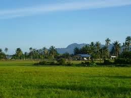 Hj Mat S Homestay Langkawi Malaysia Kedah Langkawi