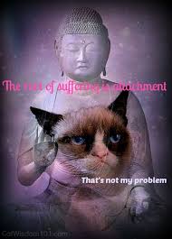 Mancat Monday A Grumpy Monday S Child Cat Wisdom 101 Everything Feline Since 2011 Cat Buddha Grumpy Cat Cat Quotes