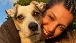 Banker wins £10,000 after dog broke leg during therapy session