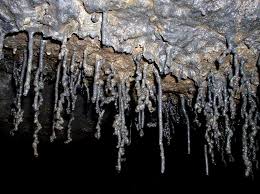 Lava Stalactites The Generic Term Lavacicle Has Been Applied To Lava Stalactites And Stalagmites Indiscriminately And E Geology Lava Tubes Rock Formations