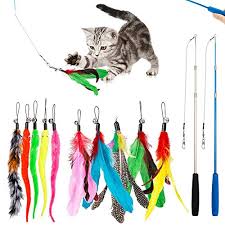 Kedi Oyuncaklari 2020 Nin En Iyisi Kediler Oyunlarini Test Et Ve Karsilastirtest Vergleiche Com Test Kazananlarini Karsilastirin Teklifleri En Cok Satanlari Test Edin Ve Karsilastirin 2020 Urununu Dusuk Fiyatlarla Satin Alin
