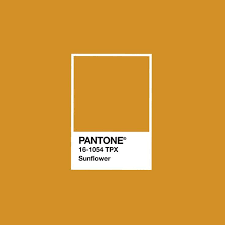 sunflower color palette pantone yellow swatches 7605c