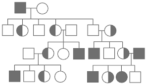 This quiz and corresponding worksheet can help you assess. Http Www Hamilton Local K12 Oh Us Downloads Pedigree 20practice 20problems Pdf