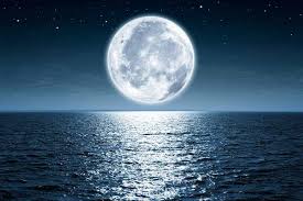 月が綺麗ですね | tsuki ga kirei desu ne translates to the moon is beautiful, isn't it? this phrase is a more poetic way of saying i love you. 80 Moon Quotes Celebrating The Shine In Darkness 2021