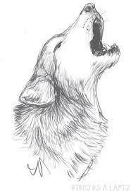 We did not find results for: áˆ Dibujos De Lobos Top Lobos Para Dibujar A Lapiz