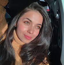 How to paint a backlit sunflower image?