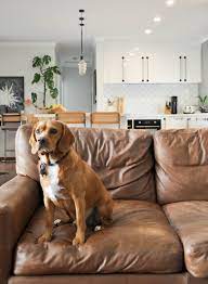 Sophie S Modern Vintage Mix In Western Australia Australian Homes Brown Leather Couch Leather Couch