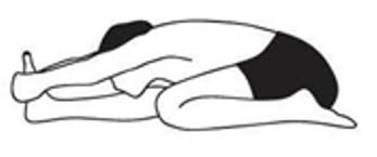 Trianga Mukhaikapada Paschimottanasana One Leg Folded Forward Bend Karuna Yoga Best Yoga Teacher Training Course Bangalore India