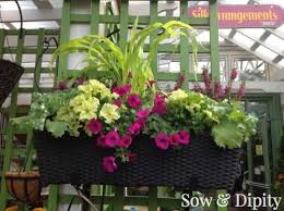 Maybe you would like to learn more about one of these? 10 Window Box Planter Ideas