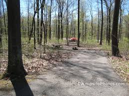 East french creek primitive campground: French Creek State Park Campsite Photos Reservations Info