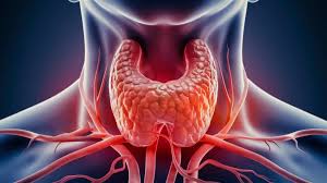 Endocrinology