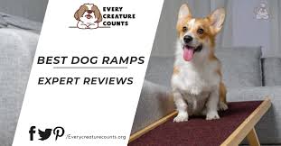A reasonable width for many dogs is 12 inches (30 cm), although you can widen the ramp to compensate for larger dogs. The 10 Hot Picked Dog Ramps In 2021 Ultimate Guide