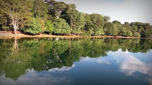 Others with a similar name. Sinop 2021 Best Of Sinop Brazil Tourism Tripadvisor