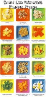 Baby Led Weaning Tips Recipes First Foods And More Baby