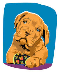 How much does pet insurance cost? More Pet Insurance Policies Are Being Sold But Are They Worth The Cost The New York Times