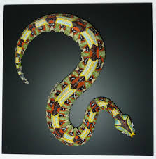 Bitis nasicornis 60 cm 3D-Painting « Galileo Ramos – Art with Skeletons