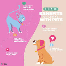 Get Your Emotional Support Animal Letter Online Emotional Support Animal Emotional Support Dog Pets