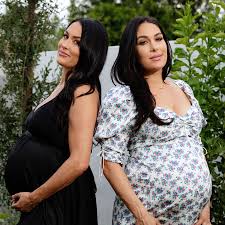 An ordinary man frustrated with the various flaws he sees in society begins to psychotically and violently lash out against them. Total Bellas Refuse To Be Knocked Out By Quarantine The New York Times
