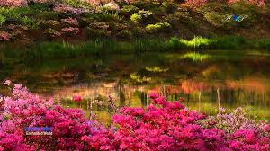 Edward Simoni Enchanted World Amazing Pan Flute Music Romantic Music Relaxing Music Nature