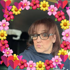 What are wheelchair accessible and pet friendly cabin rentals in Michigan?