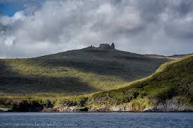 Check out these islands in auckland that you can reach by ferry. Musgrave Inlet Auckland Island Wildlight Photography