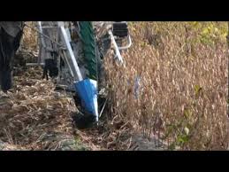 They grow in the upper midwest, great mother nature dictates which growing regions will have the best weather for planting and harvesting each year, but it is the dedication of farmers who. Walk Behind Bean Harvester Cutter Bh 710 Hanseo Korea By Raykim78