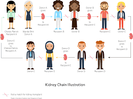 kidney transplant a chain of events that saved lives