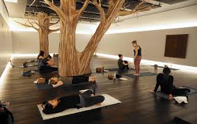 The midtown athletic club was established in 1970 and boasts 16 indoor tennis courts. Chilling Out Working Out With A Midtown Athletic Club Winter Wellness Staycation Chicago Tribune