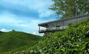 Great savings on hotels & accommodations in cameron highlands, malaysia. Poor Pay And Work Conditions For Some Workers Review Of Boh S Tea Centre Cameron Highlands Malaysia Tripadvisor