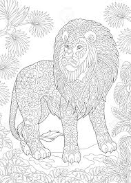 Also, if you love abstract arts, there are some zentangle art style lion coloring pages at the bottom of the page. Drawing Skill Lion Drawing For Colouring