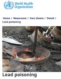 Image result for Lead Poisoning