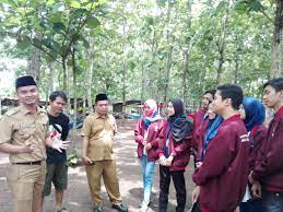 Di sisi lain bayu sedang asyik dengan ponselnya entah apa yang sedang disibukkannya. Hutan Jati Raya Destinasi Wisata Di Sindangpanon Radarbanten Co Id