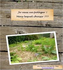 Quand Et Comment Semer Les Courgettes Et Potirons Potager Comment Planter Petit Potager