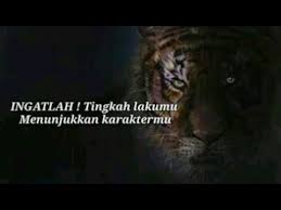 Semua peribahasa dengan kata macan, selalu ada di situs jagokata. Kata Kata Bijak Terbaru Renungan Sang Macan Putih Youtube