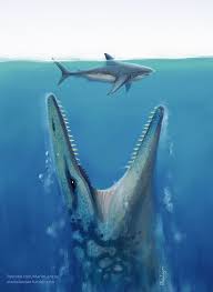 Mosasaurus Jaws By Mariolanzas Jurassic World Jurassic World Dinosaurs Jurassic Park World Lemonnieri skeletons described by louis dollo. pinterest