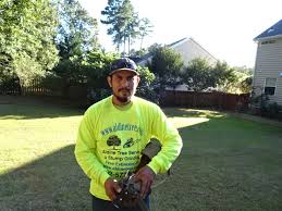 You can expect friendly service from our staff. Choose The Lowest Cost Tree Service Estimate Or Price Quote Top 7 Safety Considerations Houston Tree Maintenance Provider Near You