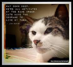 Way down deep, we&#39;re all motivated by the same urges. Cats have ... via Relatably.com