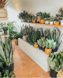 65 Indoor Garden Ideas You Will Fall For Dekoration Hausdekoration Schlafzimmer Wohnzimmer Einrichten Hausdekor Plants Indoor Garden Plant Decor Indoor