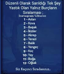 Burclar Burclar Ikizler Boga