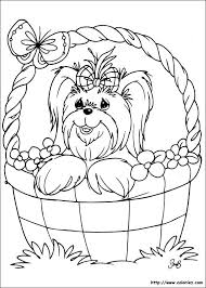 Coloriage Petit Chien Dans Son Panier Coloriage Coloriage Animaux Dessins Amusants