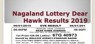 Nagaland Lottery Dear Hawk Results 08 12 2019 Live Today