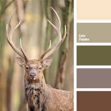 Tony Vester (tonyv1487)